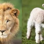 march in like a lion or lamb