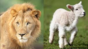 march in like a lion or lamb​